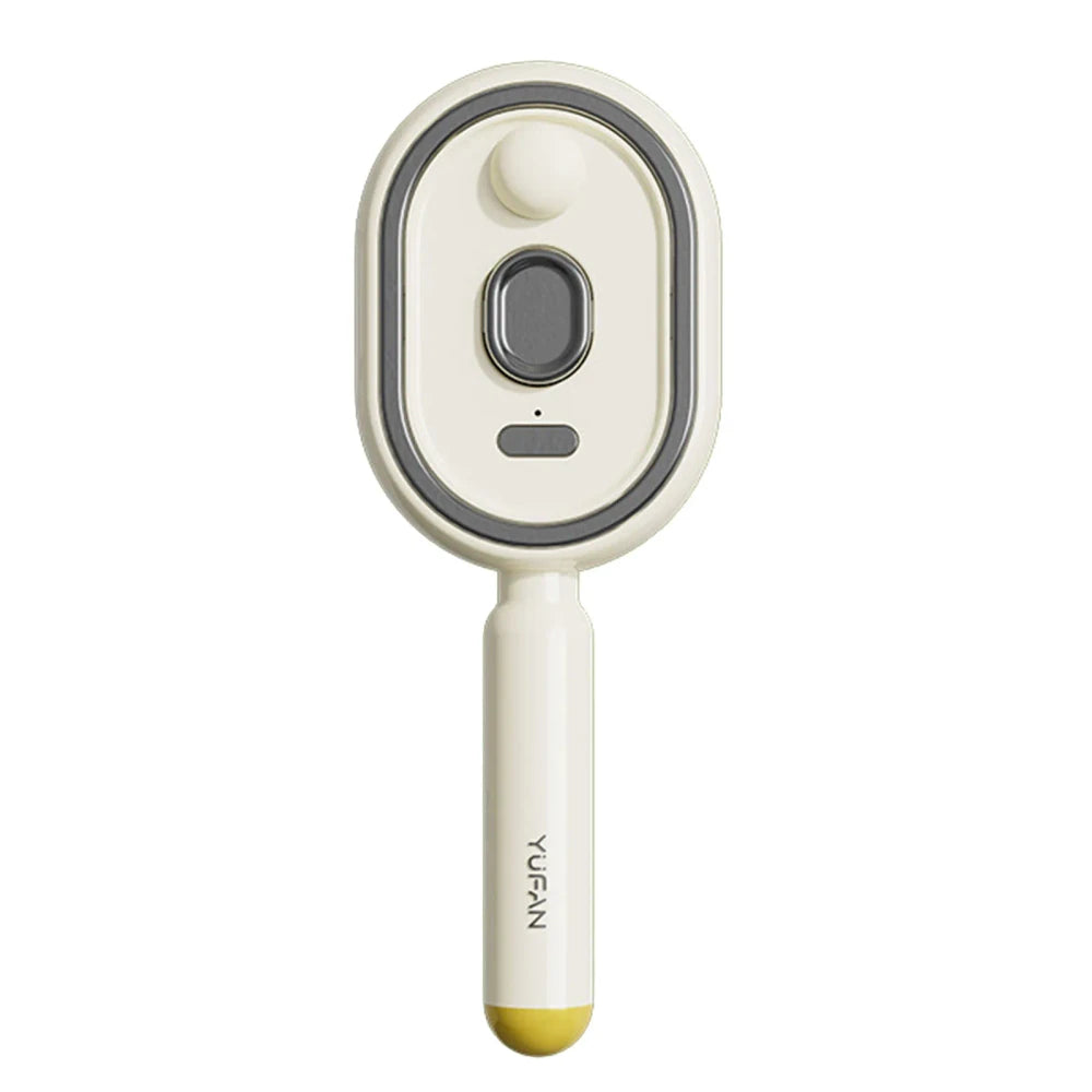 Electric Steam Detangling Hairbrush