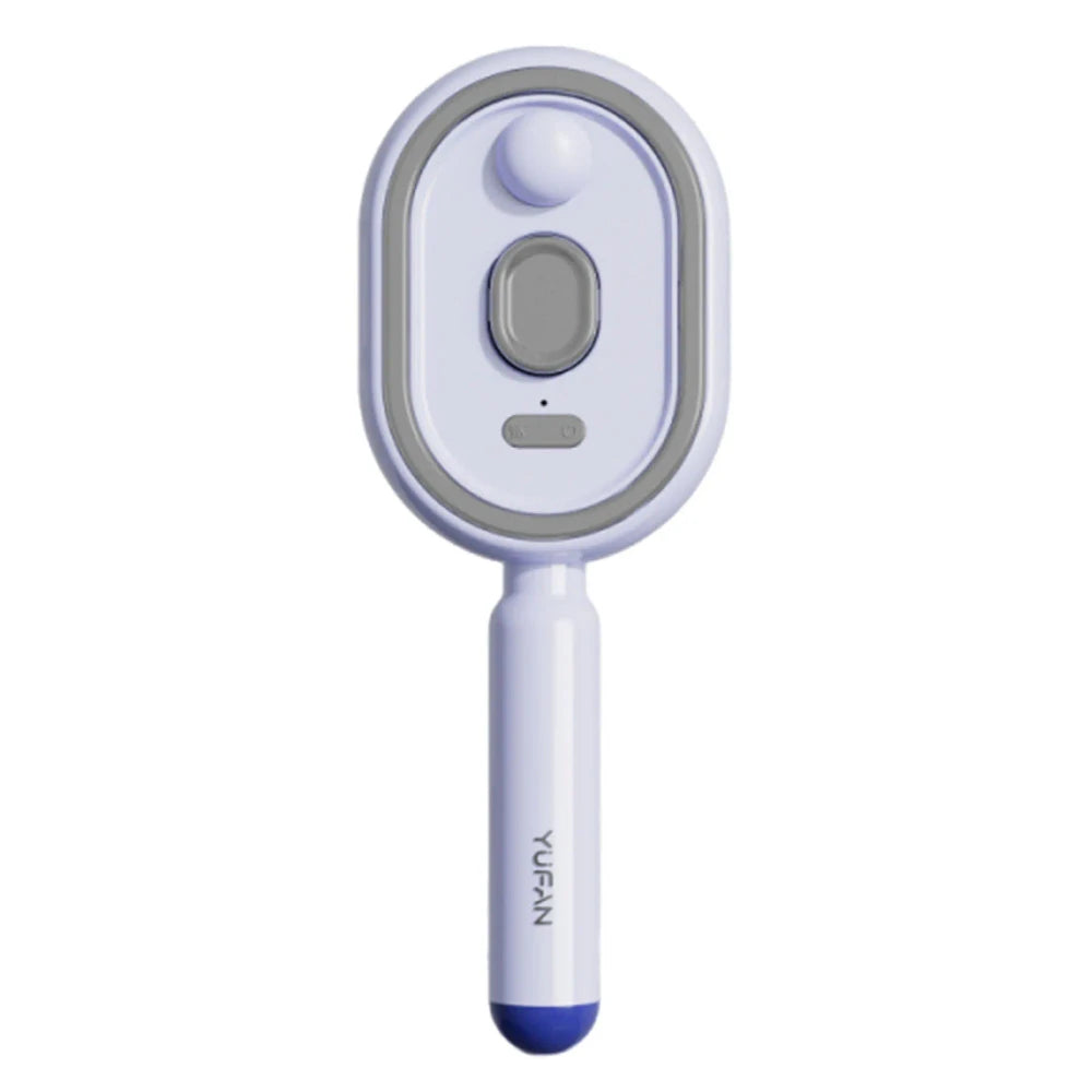 Electric Steam Detangling Hairbrush
