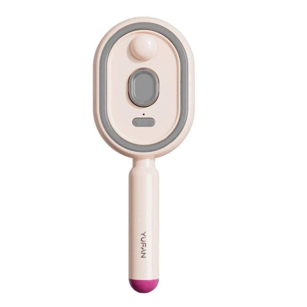 Electric Steam Detangling Hairbrush